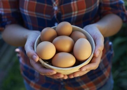 benefícios dos ovos de galinha